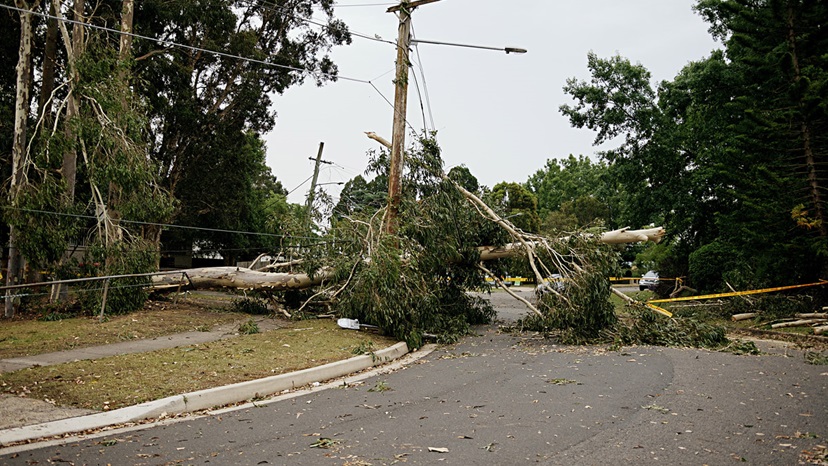 Storm Damage